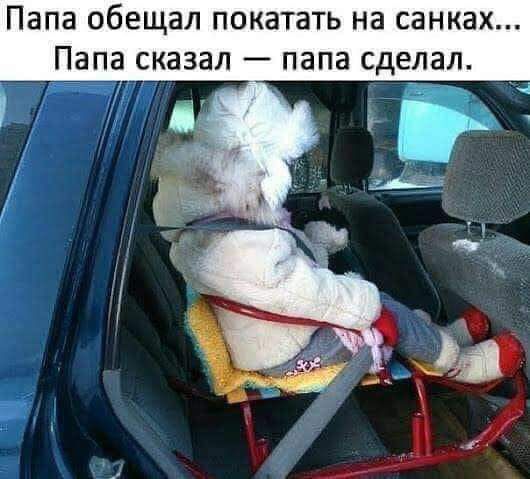 Папа обещал покатать на санках Папа сказал папа сделал _ іі _