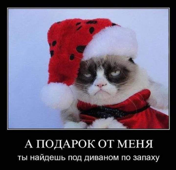 А ПОДАРОК ОТ МЕНЯ ты найдешь под диваном по запаху