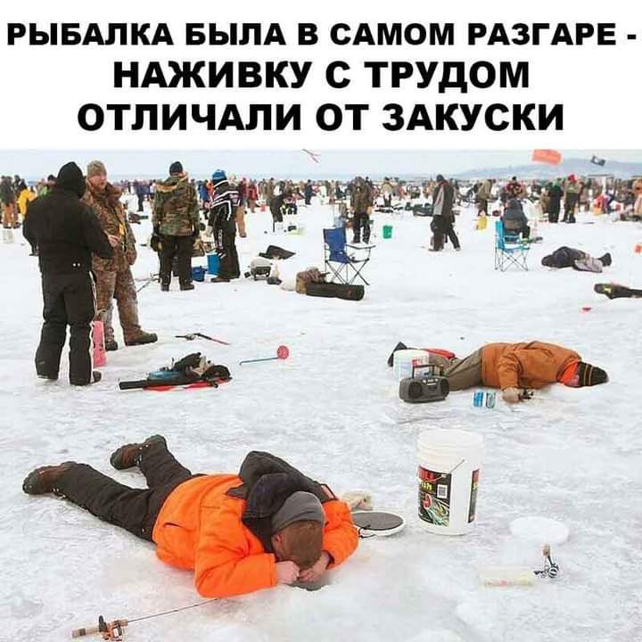 РЫБАЛКА БЫЛА В САМОМ РАЗГАРЕ НАЖИВКУ С ТРУДОМ ОТЛИЧАПИ ОТ ЗАКУСКИ