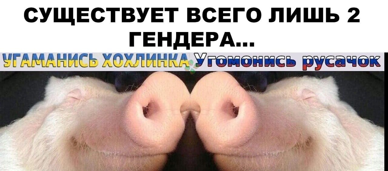 СУЩЕСТВУЕТ ВСЕГО ЛИШЬ 2 ГЕНдЕ РА ЪГАМАННСЬ ХОМННКА Угадюниеь руеачюк іь