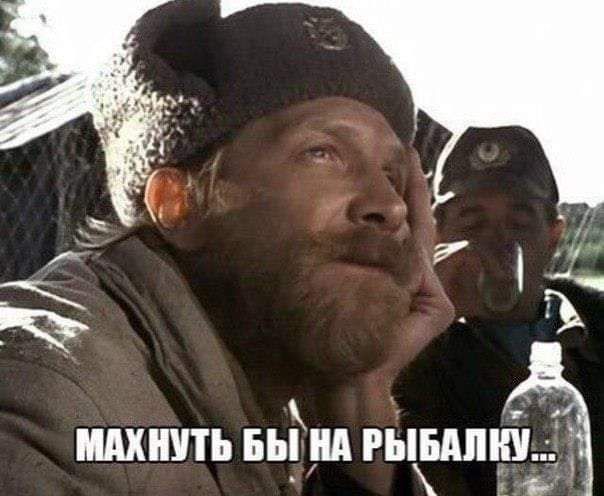 ШШ вым РЬБАПШЁ _