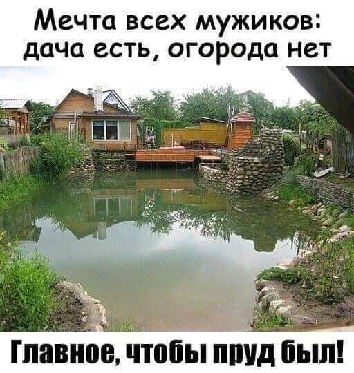 Мечта всех мужиков дача есть огорода нет