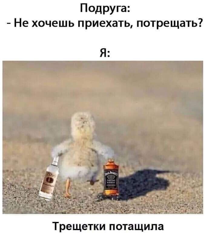 Подруга Не хочешь приехать потрещать Трещетки потащила