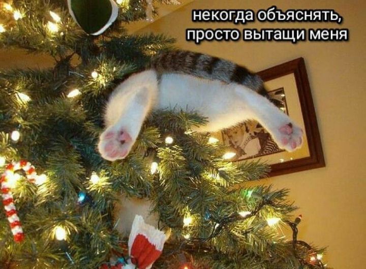 фд некогда объяснять _ ПРОСТО ВЫТЗЩИ МЕНЯ