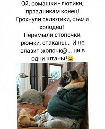 Ой ромашки лютики праздникам конец Грохнупи сапютики съели холодец Перемыли стопочки рюмки стаканы И не влазит жопочк ни в одни штаны