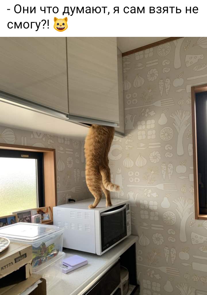ОНИ ЧТО думают Я СЭМ ВЗЯТЬ не