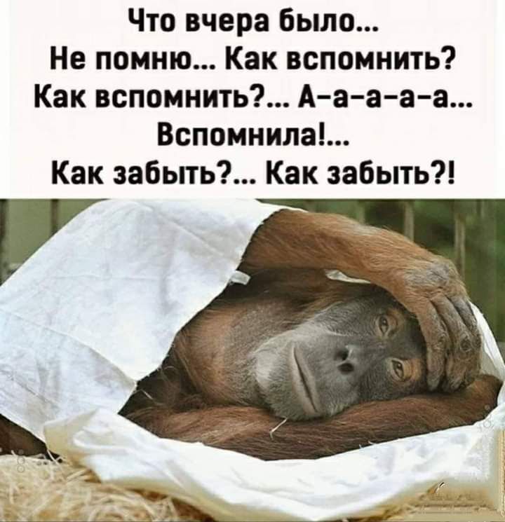 Что вчера было Не помню Как вспомнить Как вспомнить Аа ааа Вспомнила Как забыть Как забыть
