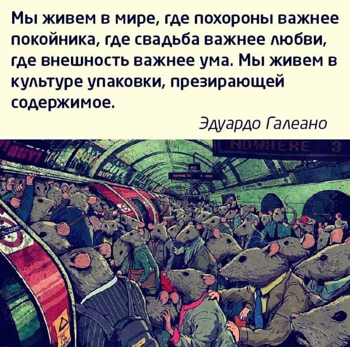 Мы живем в мире где похороны важнее покойника где свадьба важнее АЮбВИ где внешность важнее ума Мы живем в культуре упаковки презирающей содержимое Эдуардо Г алеано