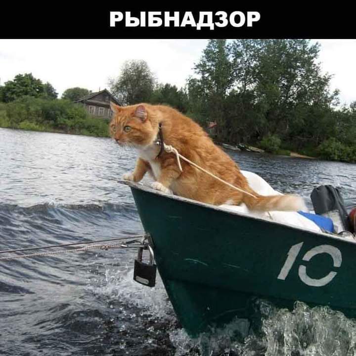 РЫБНАДЗОР ёё