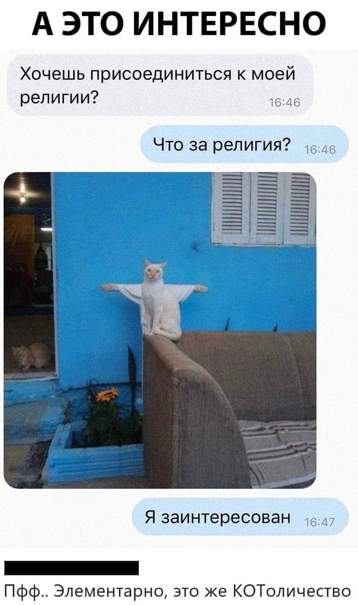 А ЭТО ИНТЕРЕСНО Хочешь присоединиться к моей религии Ю Что за религия шншпилш шшшниии ЁШ_Ш Я заинтересован Пфф Элементарно это же КОТоличество