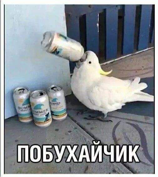 ПОБУХАИЧИК