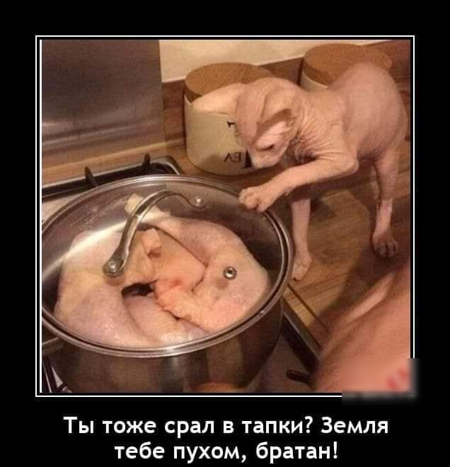 Ты тоже срал в тапки Земля тебе пухом братан