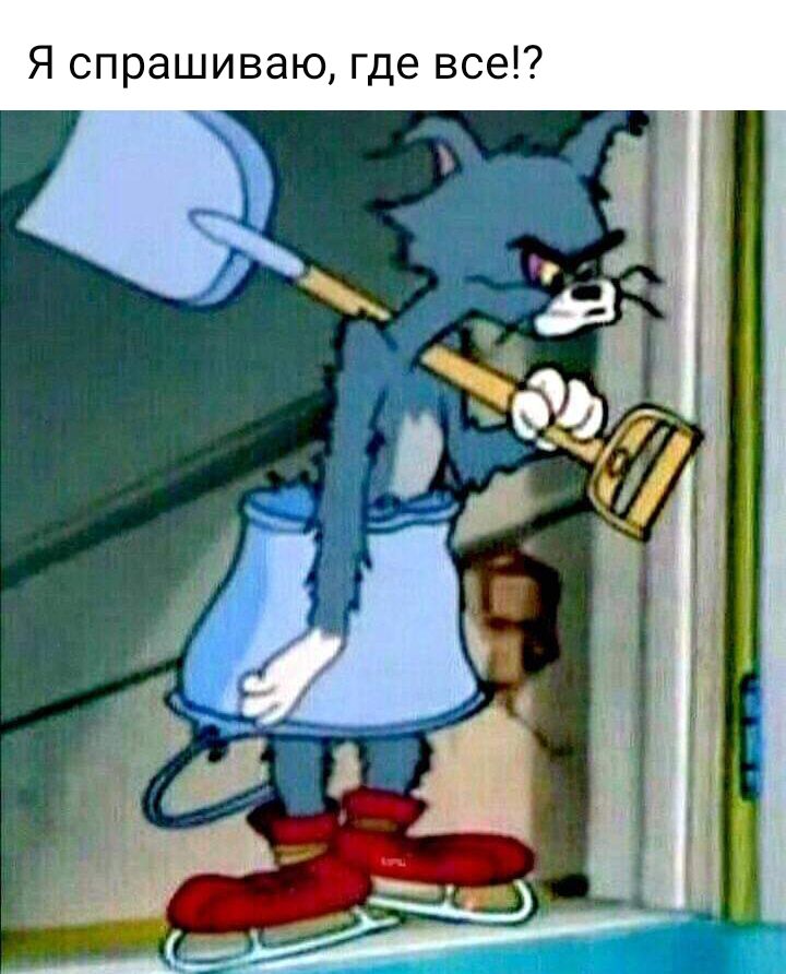 Я спрашиваю где все