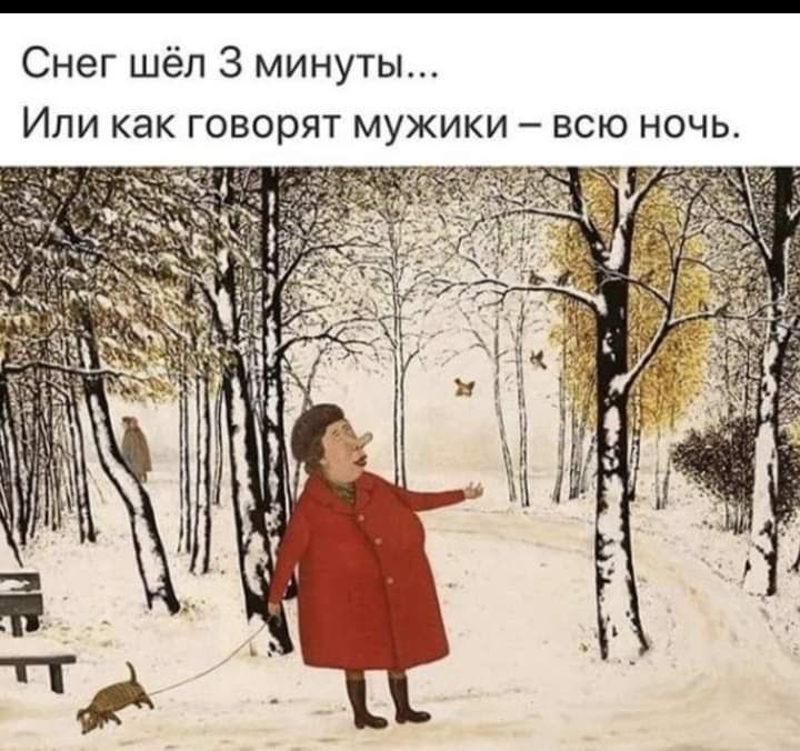 Снег шёл 3 минуты Или как говорят мужики всю ночь