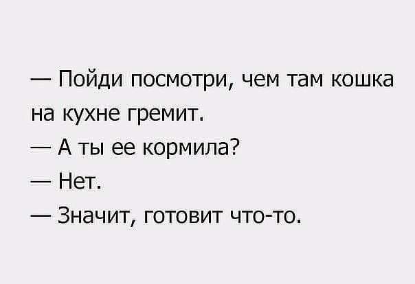 Пойди посмотри чем там кошка на кухне гремит А ты ее кормила Нет Значит готовит что то