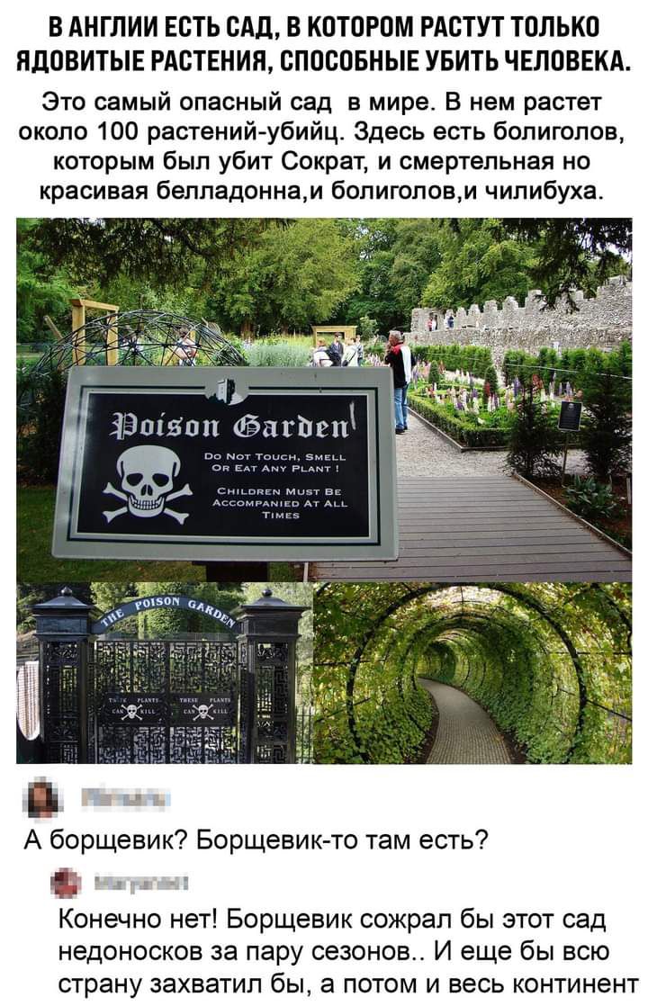 В АНГЛИИ ЕСТЬ ОАД В КОТОРОМ РАОТУТ ТОЛЬКО ПдОВИТЫЕ РАСТЕНИЯ СПОСОБНЫЕ УБИТЬ ЧЕЛОВЕКА Это самый опасный сад в мире В нем растет около 100 растений убийц Здесь есть болиголов которым был убит Сократ и смертельная но красивая беппадоннам болиголовм чипибуха А борщевик Борщевик то там есть Конечно нет Борщевик сожрал бы этот сад недоносков за пару сезонов И еще бы всю страну захватил бы а потом и весь