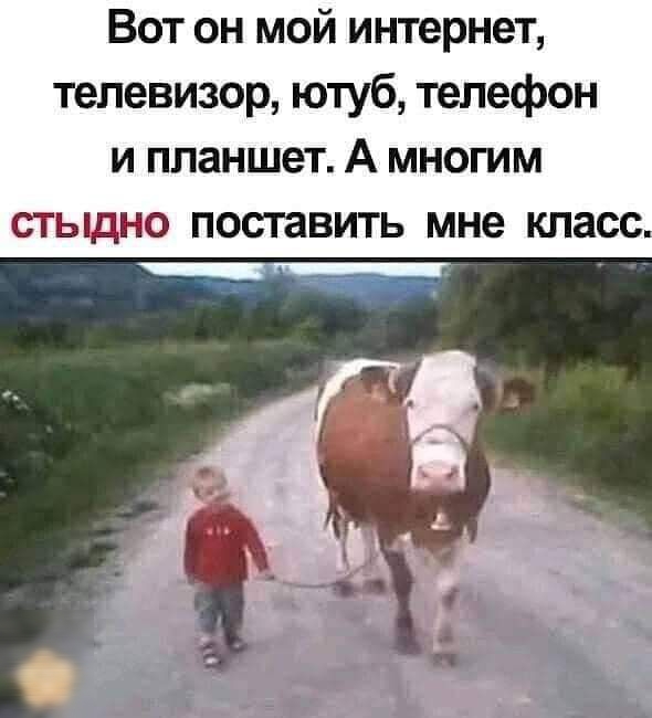 Вот он мой интернет телевизор ютуб телефон и планшет А многим стыдно поставить мне класс