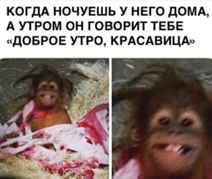 КОГДА НОЧУЕШЬ У НЕГО ДОМА А УТРОМ ОН ГОВОРИТ ТЕБЕ ДОБРОЕ УТРО КРАСАВИЦА