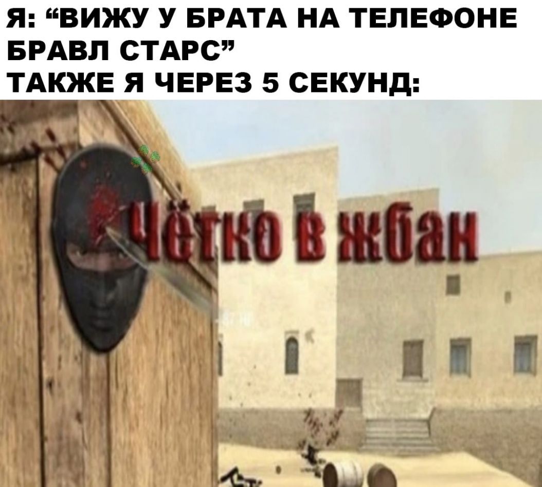 Я ВИЖУ У БРАТА НА ТЕЛЕФОНЕ БРАВП СТАРС ТАКЖЕ Я ЧЕРЕЗ 5 СЕКУНД