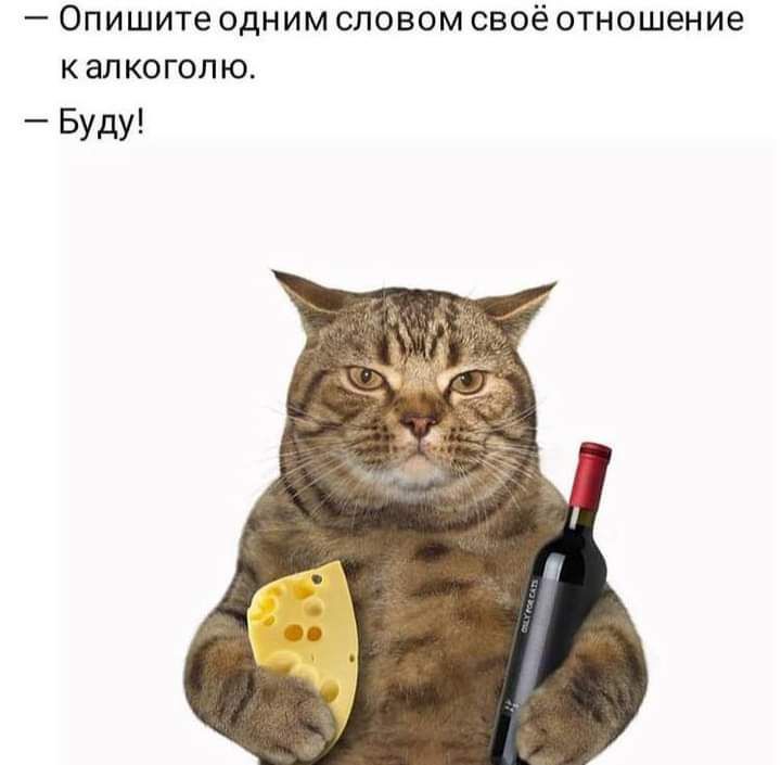 _ Опишите ОДНИМ СЛОВОМ СВОЁ ОТНОШЁНИЭ К алкоголю _ БУДУ