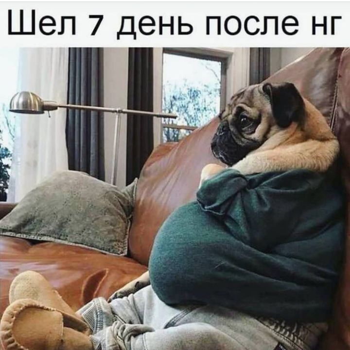 Шел 7 день после нг