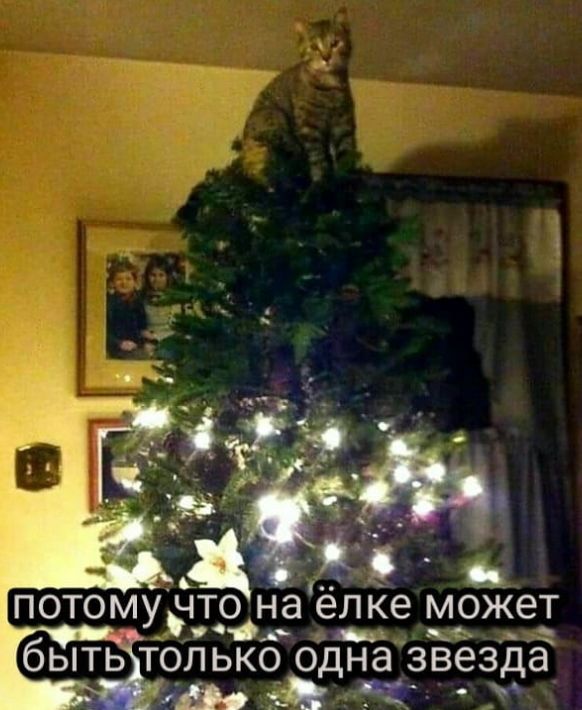 ПОТОМУЭТО НЭ ёлке МОЖЗТ только_ одна звёздё Ч