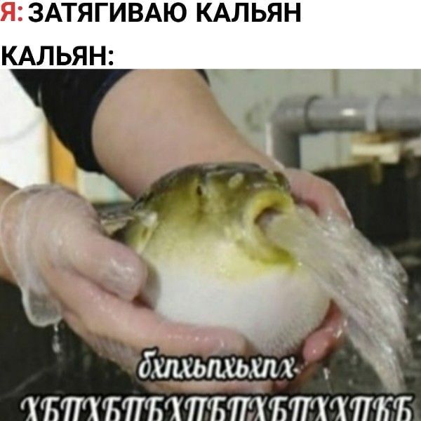 ЗАТЯГИВАЮ КАЛЬЯН КАЛЬЯН