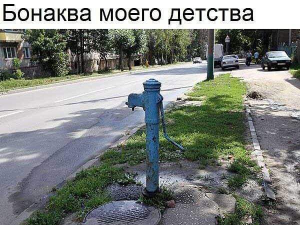 Бонаква моего детства