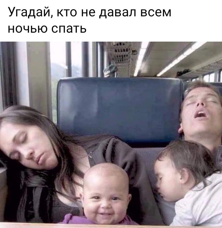 Угадай кто не давал всем ночью спать