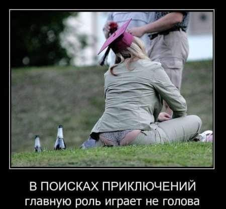 В ПОИСКАХ ПРИКЛЮЧЕНИЙ главную роль играет не голова