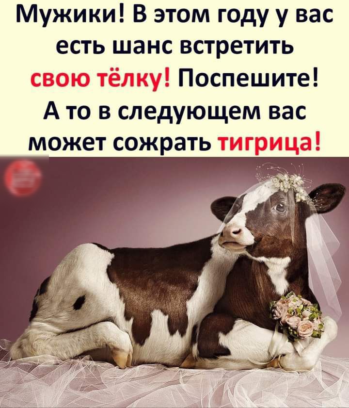 Мужики В этом году у вас есть шанс встретить _ Поспешите А то в следующем вас может сожрать