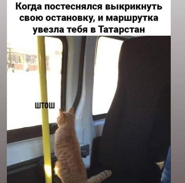 Когда постеснялся выкрикнуть свою остановку и маршрутка увезла тебя в Татарстан