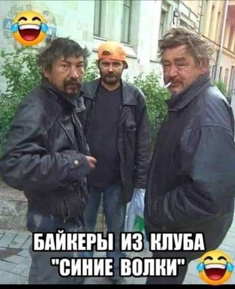 Ё Ёвдйцщп эдишн сиди Ёлки