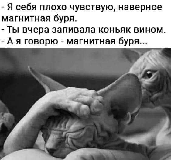 Я себя плохо чувствую наверное магнитная буря Ты вчера запивала коньяк вином А я говорю магнитная буря
