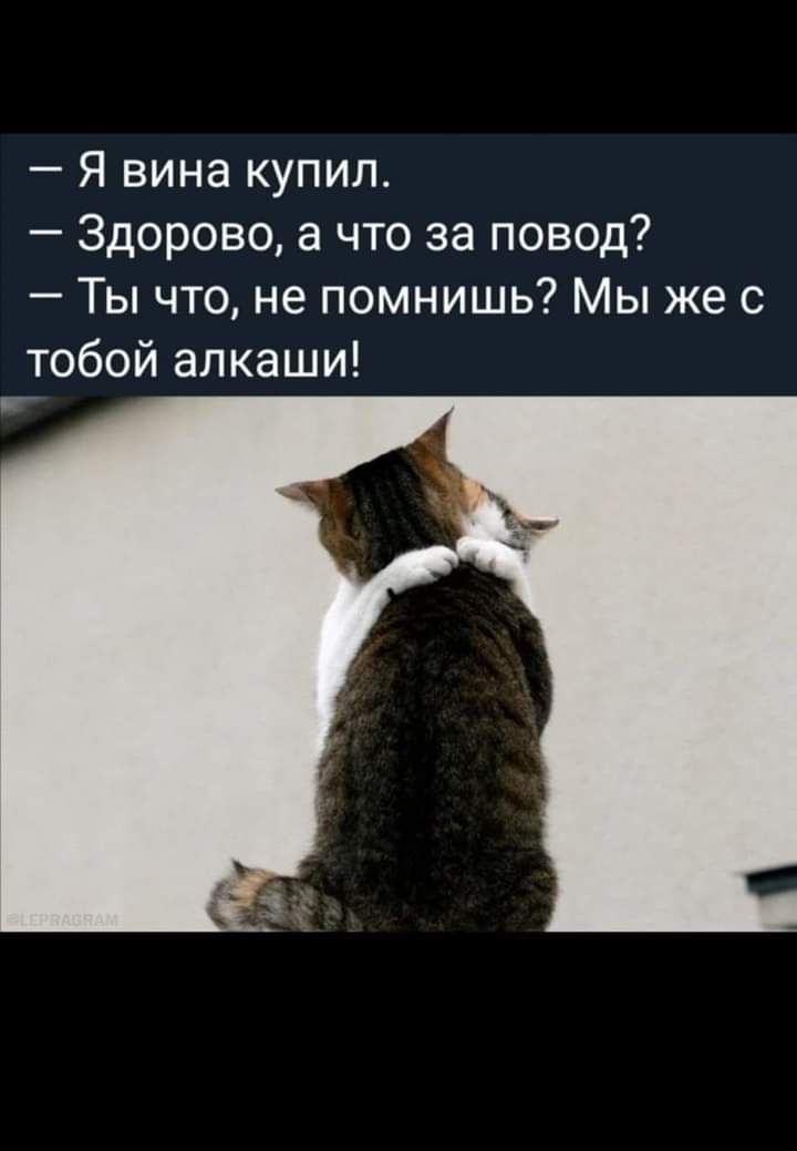 Я вина купил Здорово а что за повод Ты что не помнишь Мы же с тобой алкаши Т