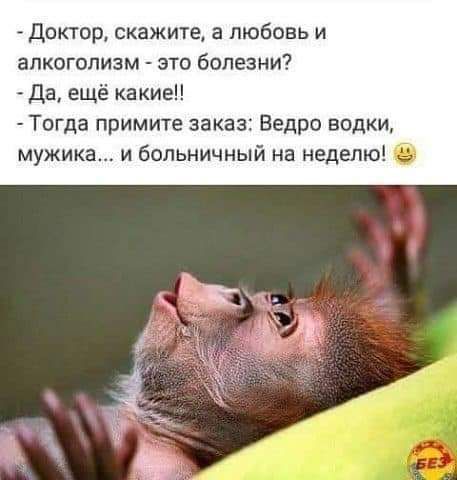 доктор скажите а любовь и алкоголизм это болезни да ещё какие Тогда примите заказ Ведро водки мужика и больничный на неделю