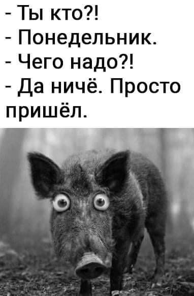 Ты кто Понедельник Чего надо Да ничё Просто пришёл