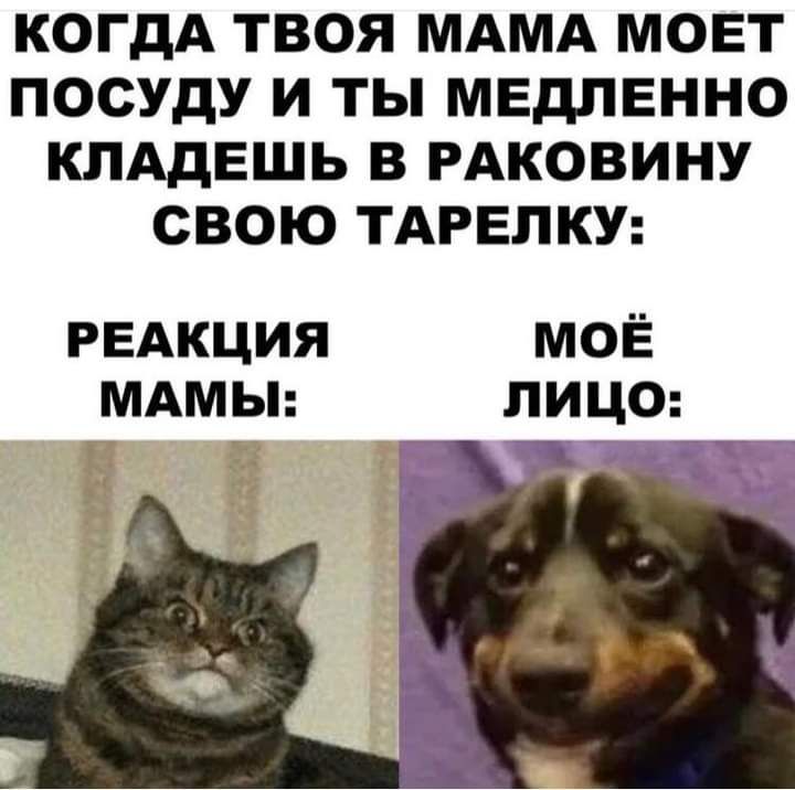 КОГДА ТВОЯ МАМА МОЕТ ПОСУДУ И ТЫ МЕдПЕННО КЛАДЕШЬ В РАКОВИНУ СВОЮ ТАРЕПКУ РЕАКЦИЯ МОЁ МАМЫ ЛИЦО