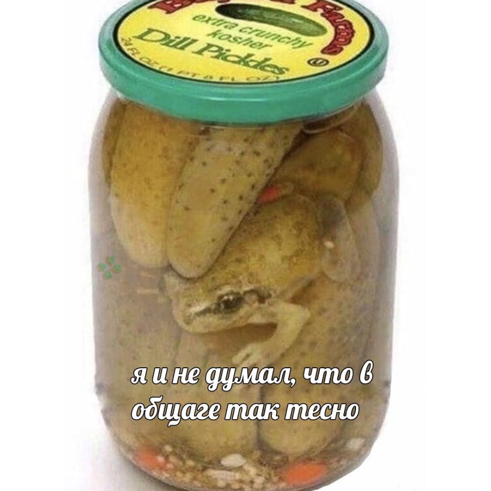 яинещршшчто общагетакпшаш