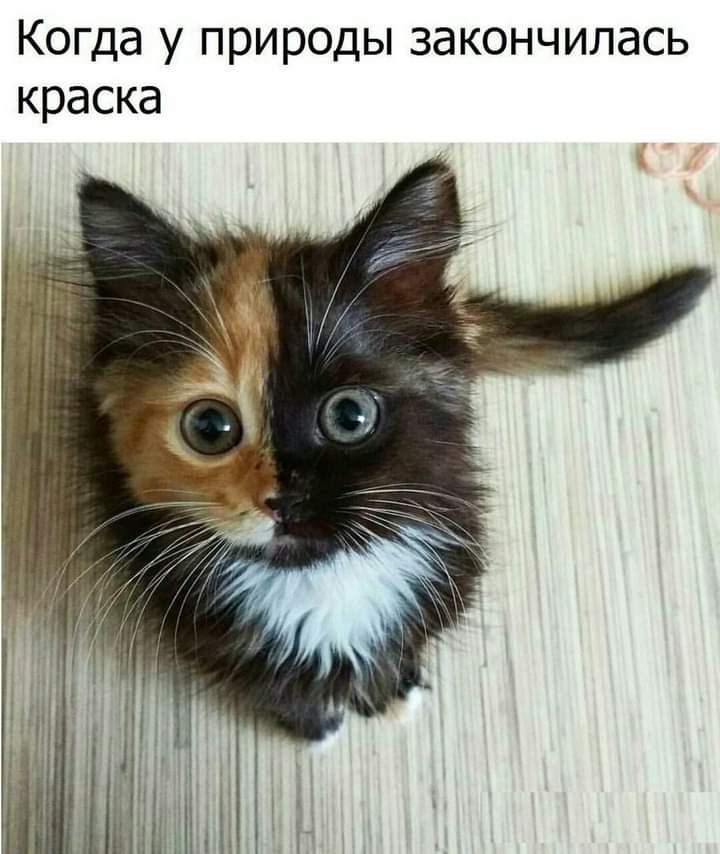 Когда у природы закончилась краска