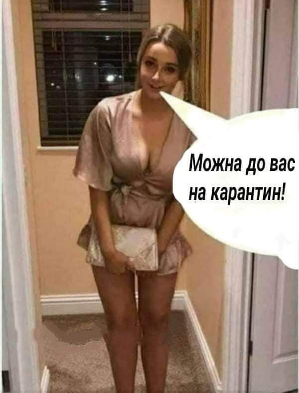 Можна до вас на карантин