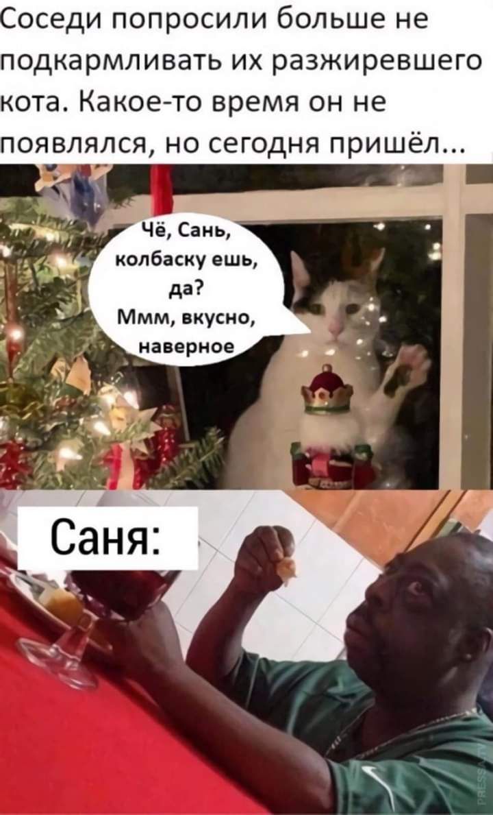 оседи попросили больше не подкармливать их разжиревшего кота Какое то время он не появлялся но сегодня пришёл _ _ Чё Сань колбаску ешь да Ммм вкусно наверное