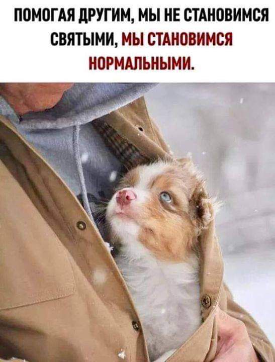 ПОМОГАЯ дРУГИМ МЫ НЕ СТАНОВИМСЯ СВЯТЫНИ МЫ СТАНОВИМСЯ НОРМАЛЬНЫМИ