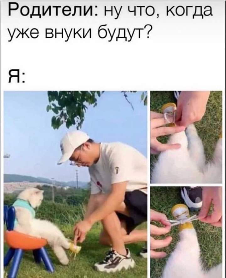 Родители ну что когда уже внуки будут ЧГ Я __ Щ