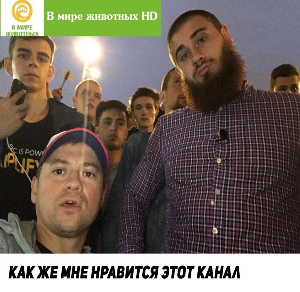 КАК ЖЕ МНЕ НРАВИТСЯ ЭТОТ КАНАЛ