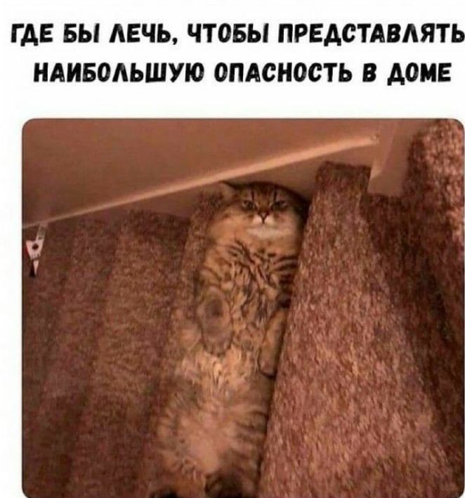 ГАЕ БЫ АЕЧЬ ЧТОБЫ ПРЕДСТАВАЯТ НАИБОАЬШУЮ ОПАСНОСТЬ В АОМЕ