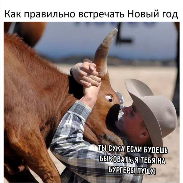 Как правильно встречать НОВЫЙ ГОД