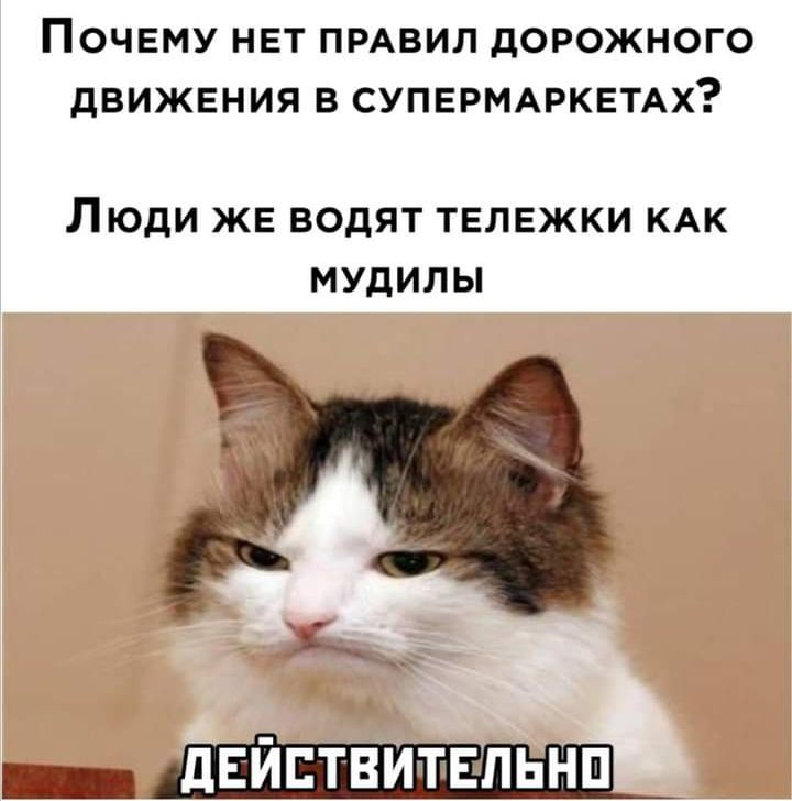 ПОЧЕМУ НЕТ ПРАВИЛ ДОРОЖНОГО дВИЖЕНИЯ В СУПЕРМАРКЕТАХ ЛЮДИ ЖЕ ВОДЯТ ТЕЛЕЖКИ КАК МУДИЛЫ _ дЕйптвитЕ льнп