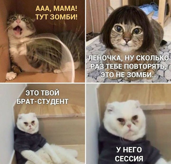 АДА МАМАЕ ТУТ ЗОМБИ у него сЕссия