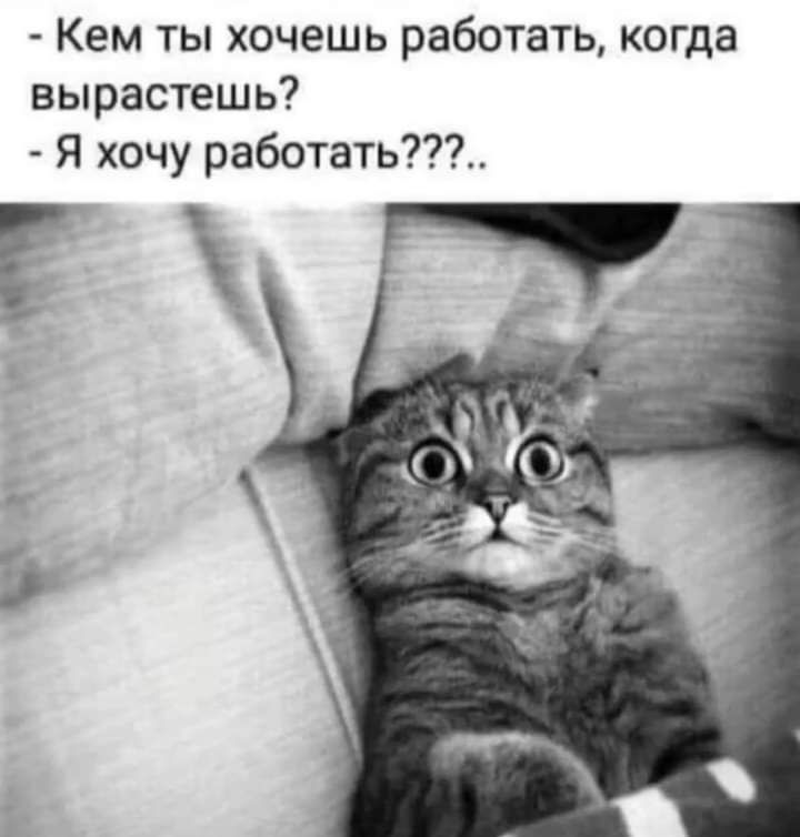Кем ты хочешь работать когда вырастешь Я хочу работать